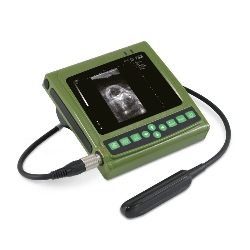 MAGIC 500 Plus Portable Ultrasound