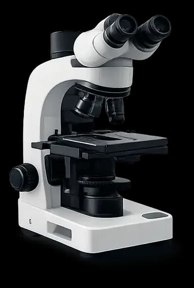 Microscopy